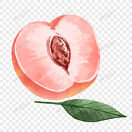 WWW,693av·COM网站APPAPP应用
