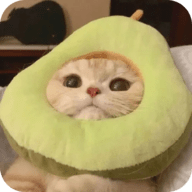 深夜直播APP应用